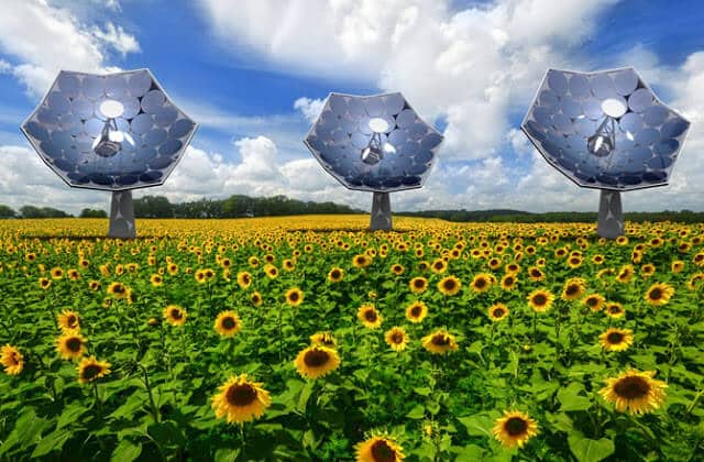 dnews-files-2014-09-sunflower-shaped-solar-panels-670-jpg