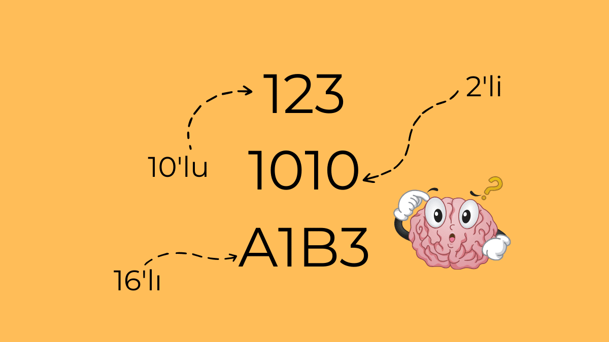 2, 10 ve 16’lı Sayı Sistemleri Nedir?