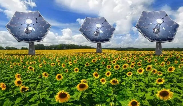 Dnews-files-2014-09-sunflower-shaped-solar-panels-670-jpg