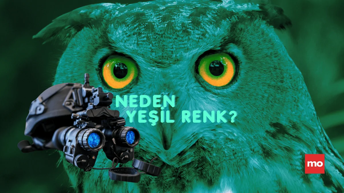 Gece Görüş Kameraları Neden Genellikle Yeşil Renkli Görüntü Verir?